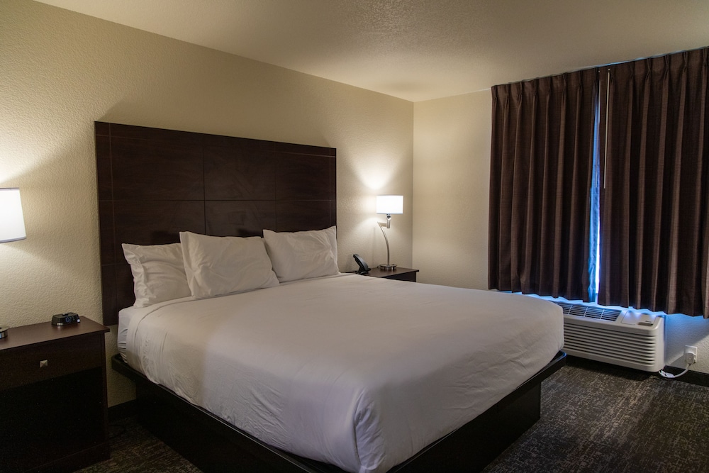 Room, 1 King Bed, Non Smoking (Guestroom Audible/Visual Alert) - Photo 1