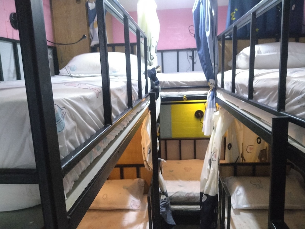 Basic Shared Dormitory, Mixed Dorm photo 1