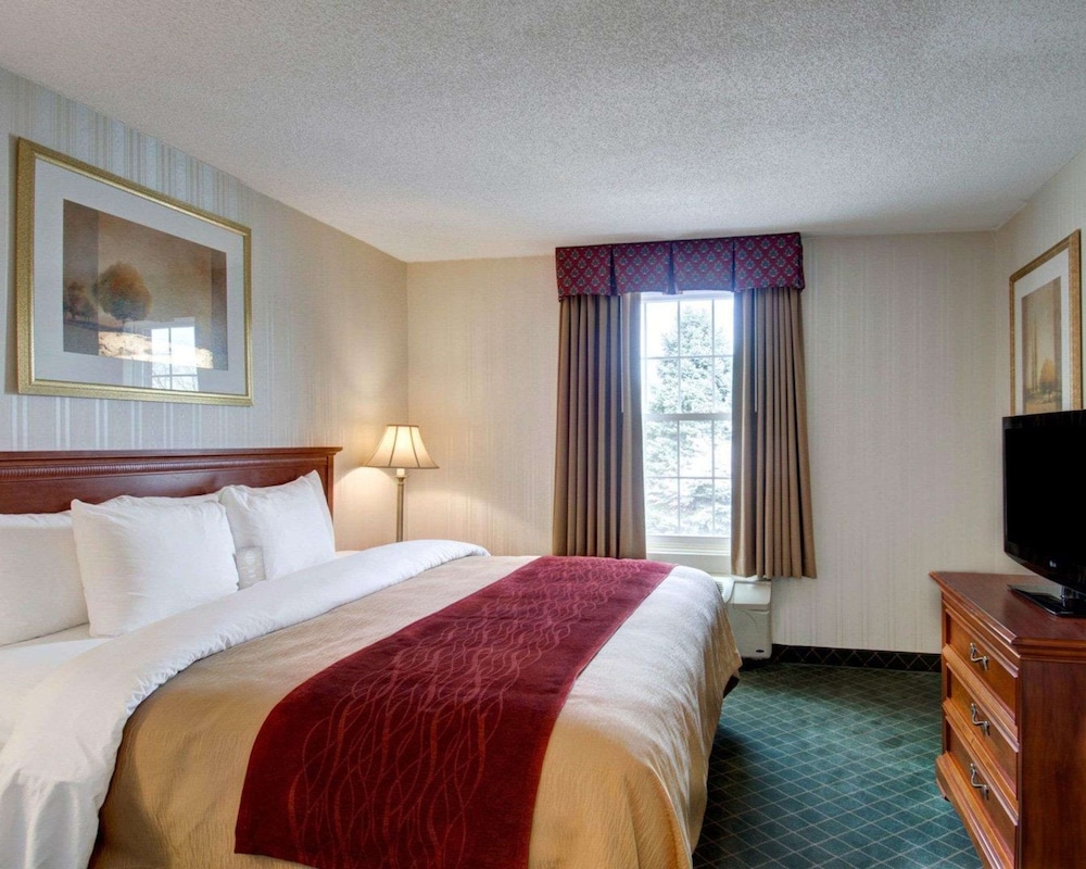 Suite, 1 King Bed, Non Smoking photo 1