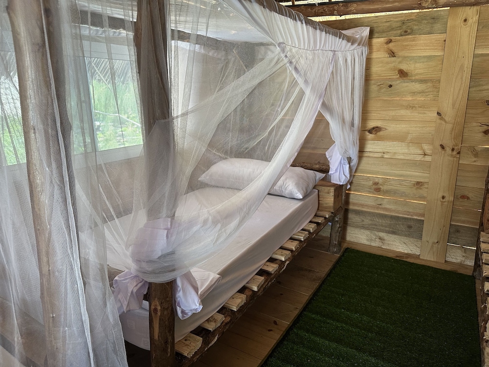 Basic Shared Dormitory