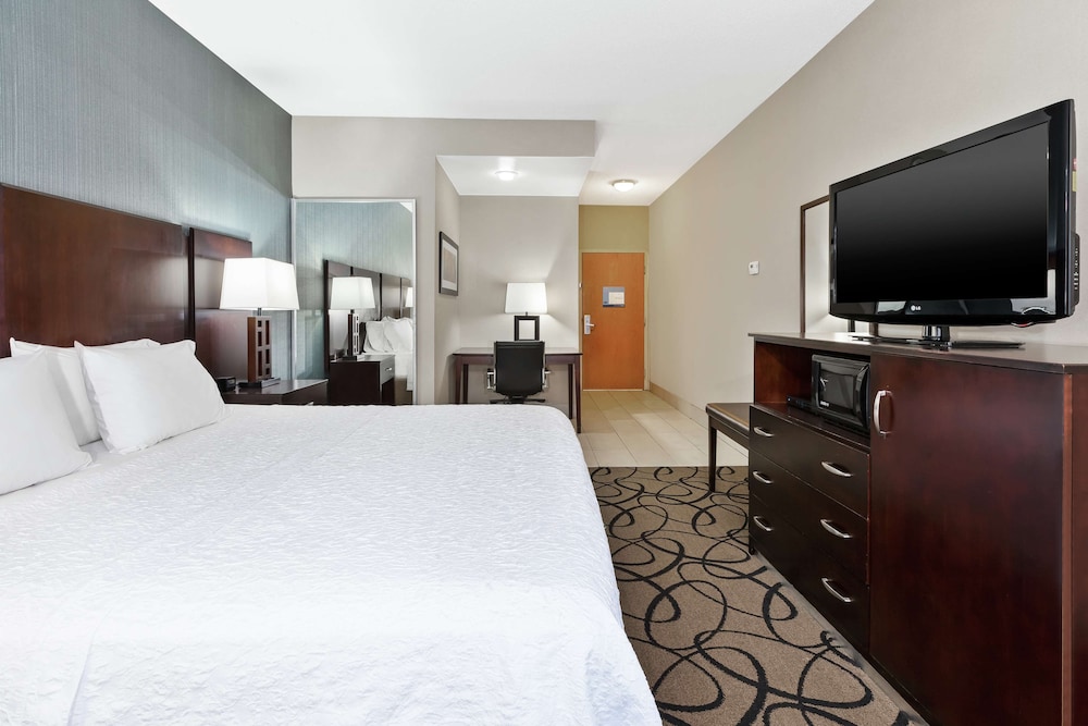 Room, 1 King Bed, Accessible (3x3 Shower)