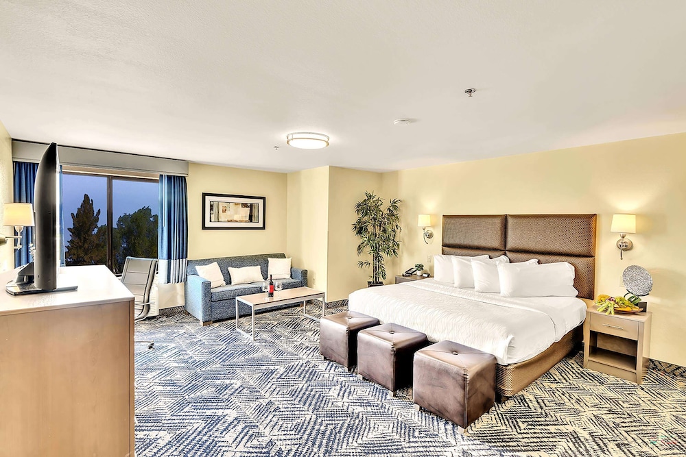 Suite, 1 King Bed, Accessible, Bathtub - Photo 1
