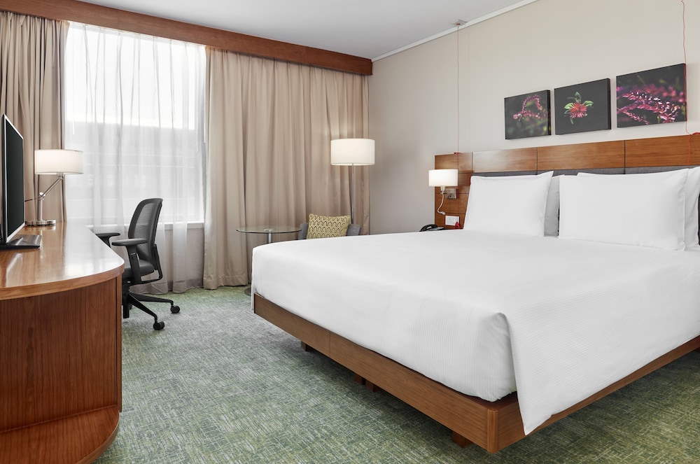 Room, 1 King Bed, Accessible photo 3