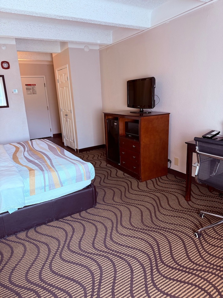 Suite, 1 King Bed, Roll-in Shower, Non Smoking