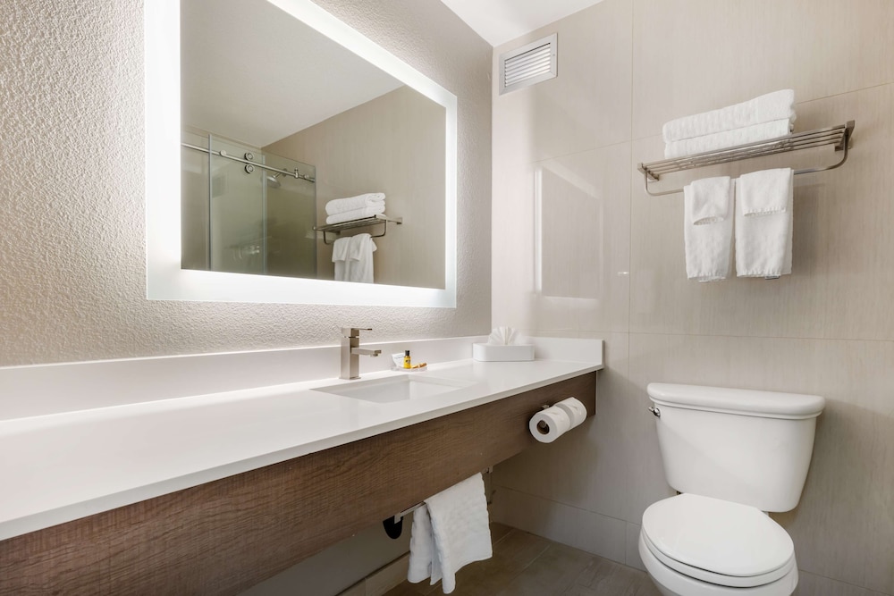 Suite, 1 King Bed, Non Smoking, Refrigerator & Microwave (With Sofabed) - Photo 8