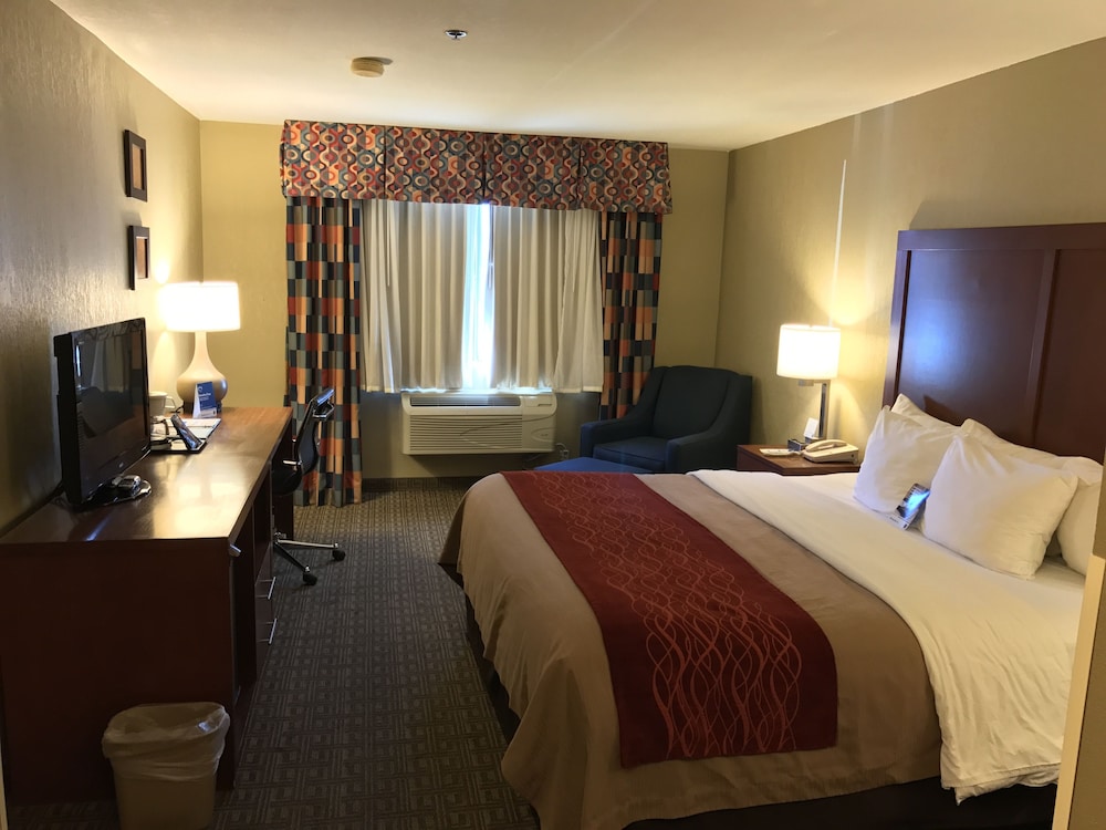 Standard Room, 1 King Bed, Non Smoking - Photo 4