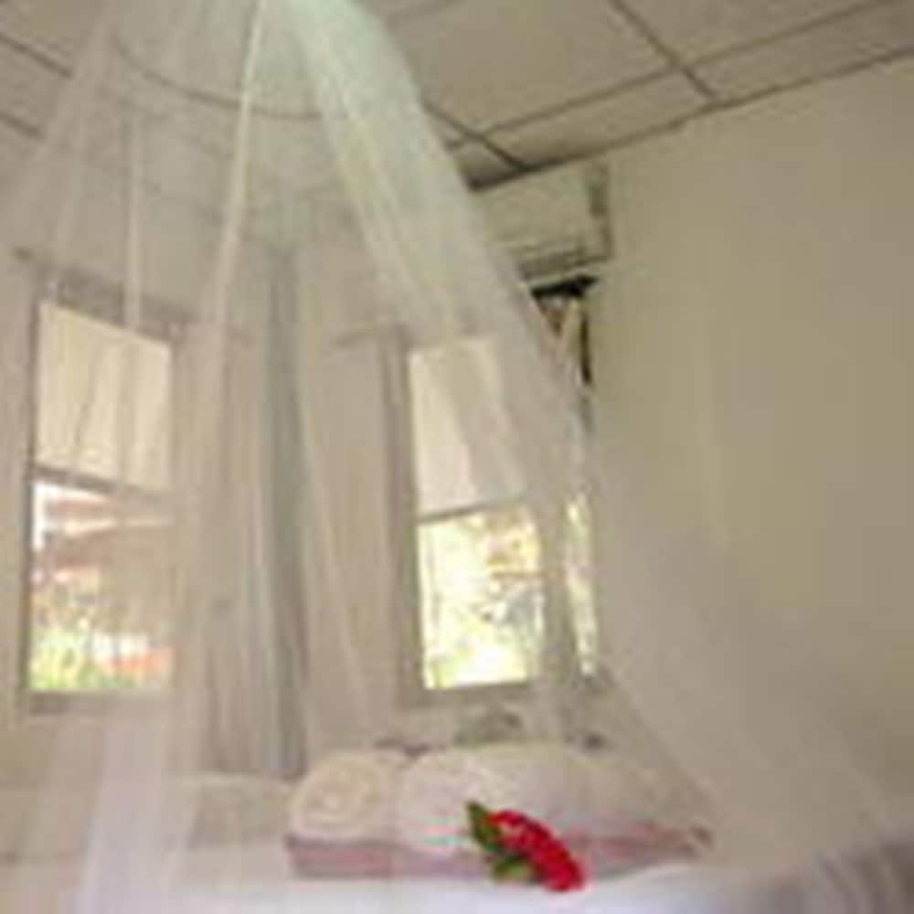 Garden Hut - Photo 8