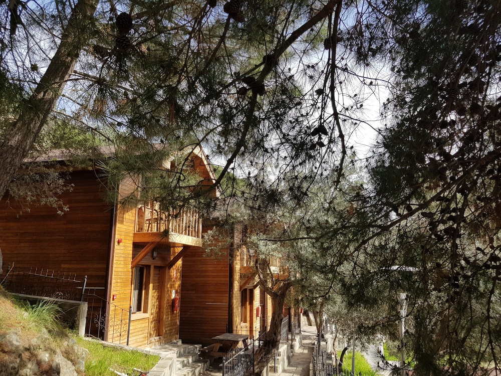Bungalow photo 2