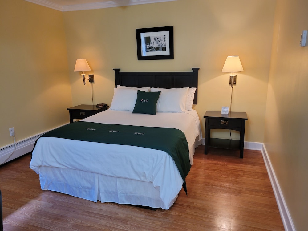 Standard Suite, 1 Queen Bed