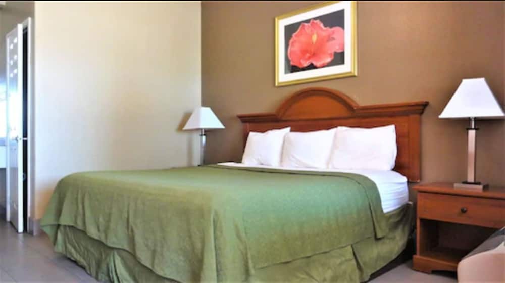 Standard Room, 1 King Bed photo 1