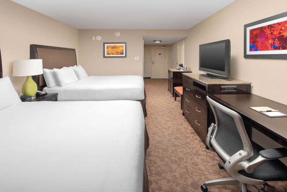 Room, Accessible - Photo 1