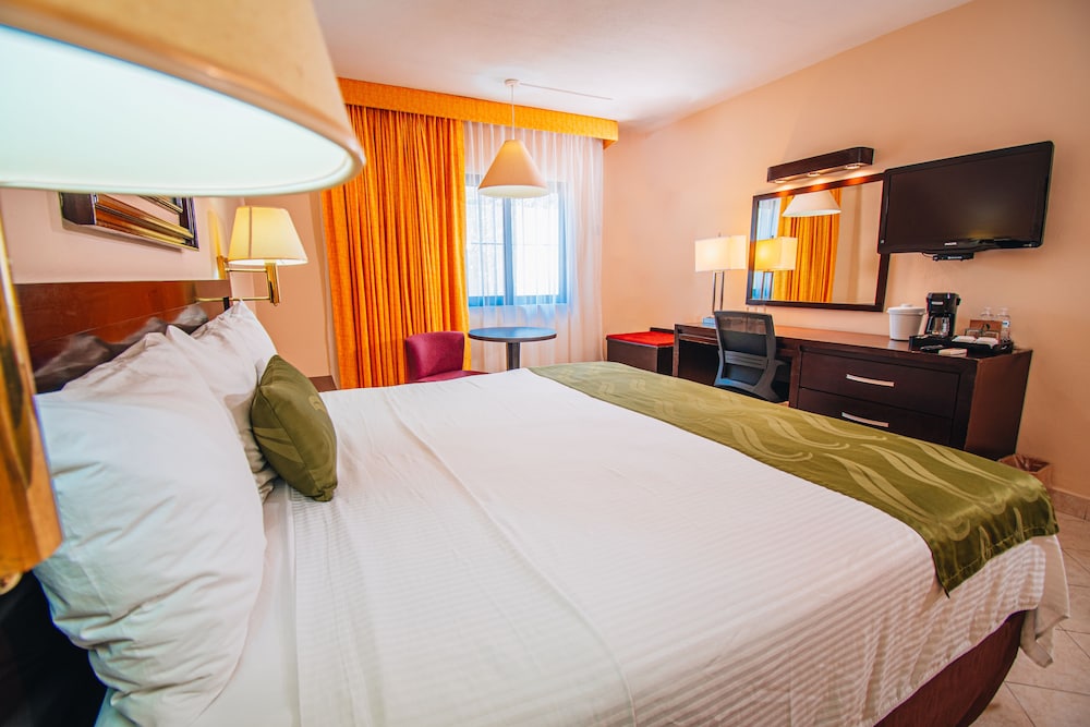Standard Room, 1 King Bed - Photo 3