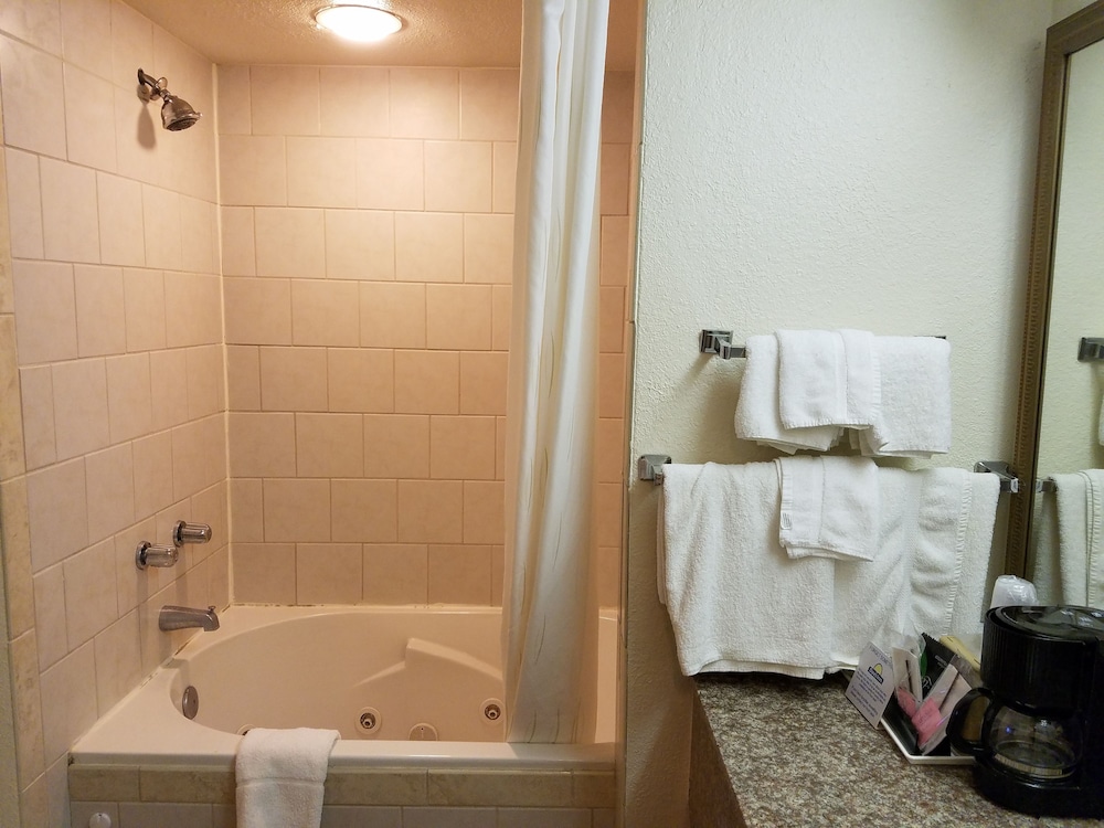 Studio Suite, 1 King Bed, Non Smoking - Photo 4