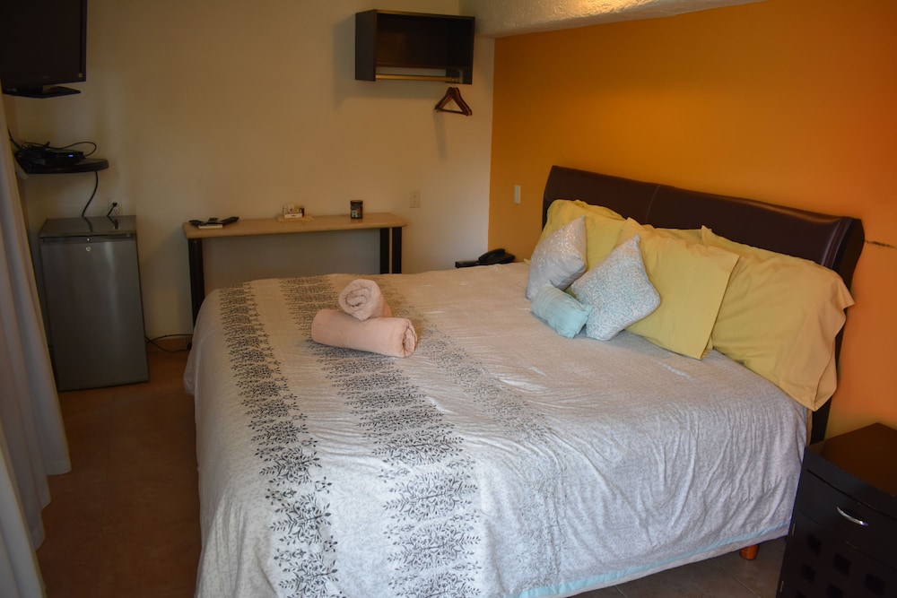 Traditional Suite, 1 King Bed photo 2