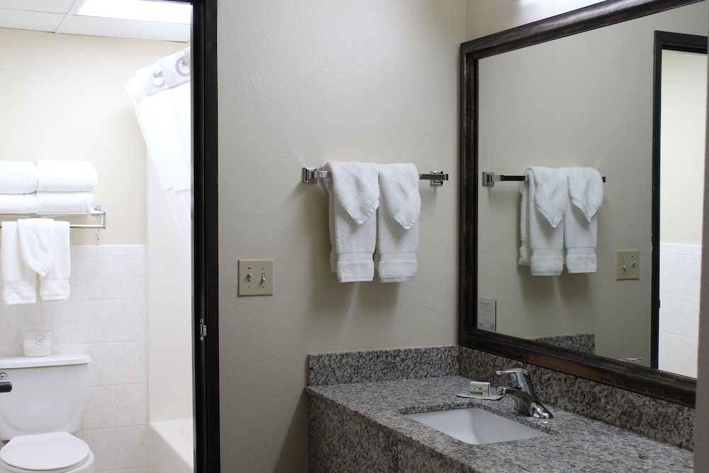 Superior Suite, 1 Bedroom, Non Smoking - Photo 8