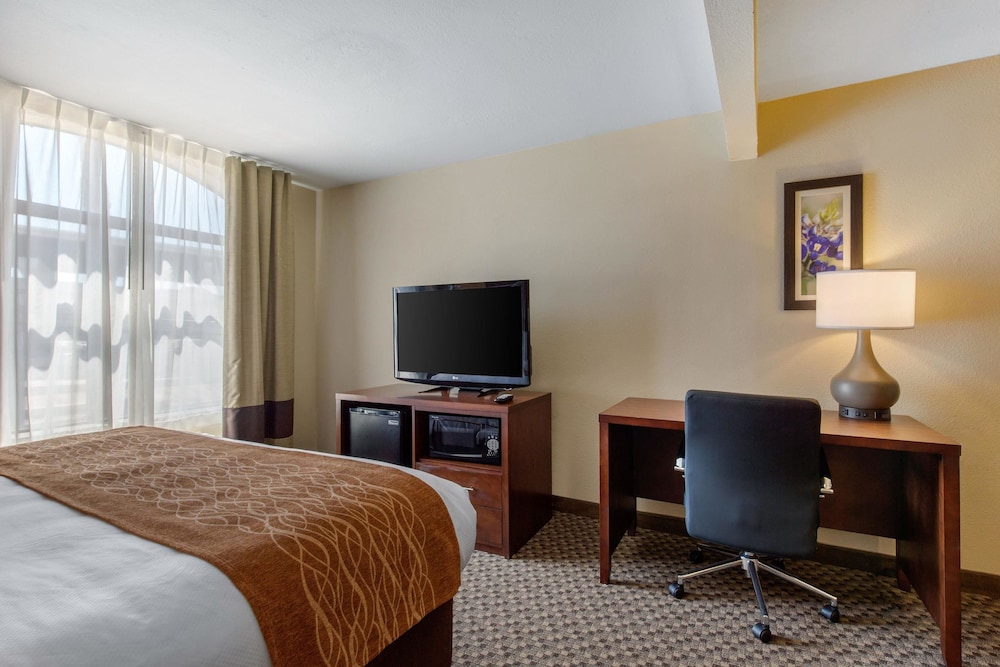 Room, 1 King Bed, Accessible, Non Smoking - Photo 8