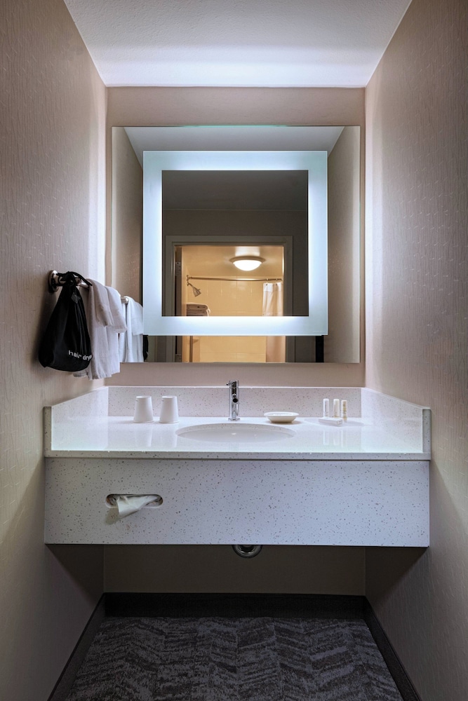 Suite, Multiple Beds (Mobility Accessible, Roll-In Shower) - Photo 6