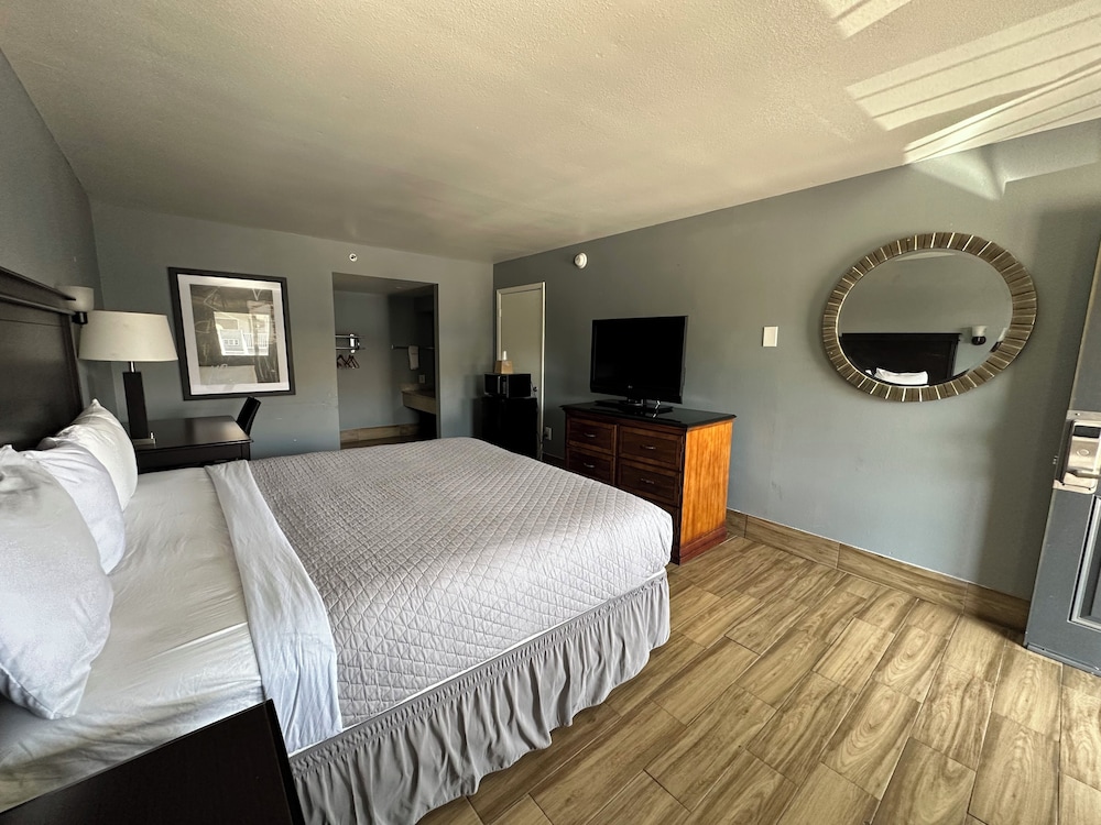 Basic Single Room - Photo 1