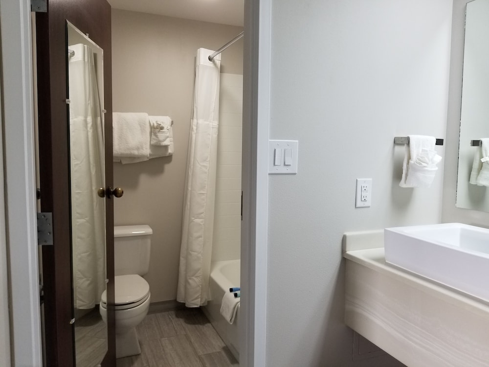 Suite, Multiple Beds, Non Smoking (Efficiency) - Photo 9