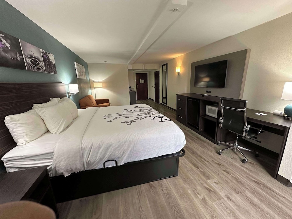 Suite, 1 King Bed, Non Smoking - Photo 5