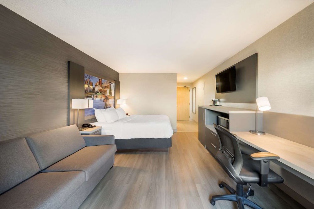 Standard Room, 1 Queen Bed, Accessible, Non Smoking (with Sofabed) - Photo 3