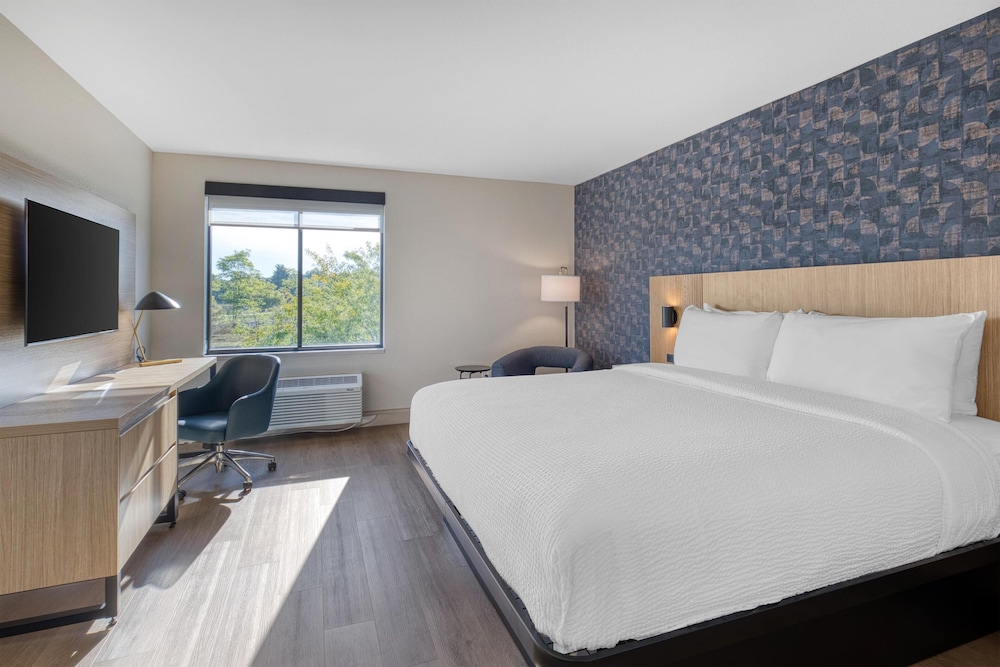 Standard Room, 1 King Bed, Non Smoking (Larger Room) - Photo 2