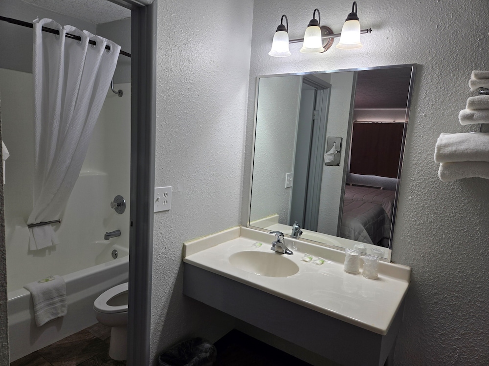 Single Room, 1 Queen Bed photo 3