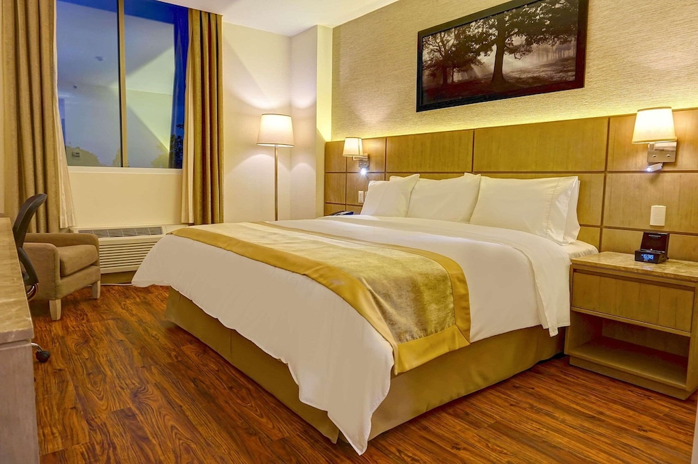 Room, 1 King Bed, Non Smoking photo 1