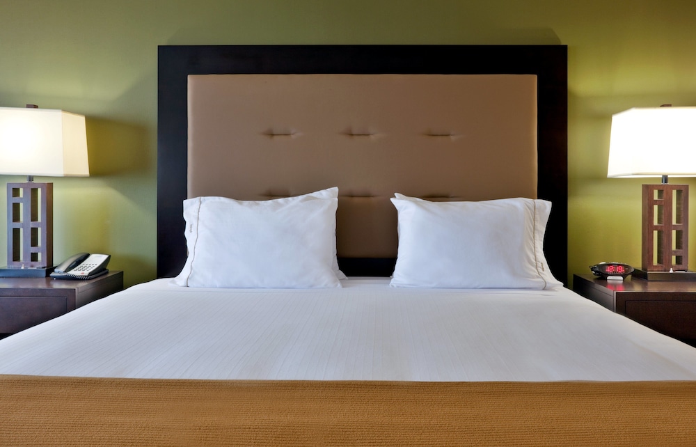 Room, 1 King Bed with Sofa bed, Accessible, Non Smoking (Comm, Mobil, Access Tub) photo 2