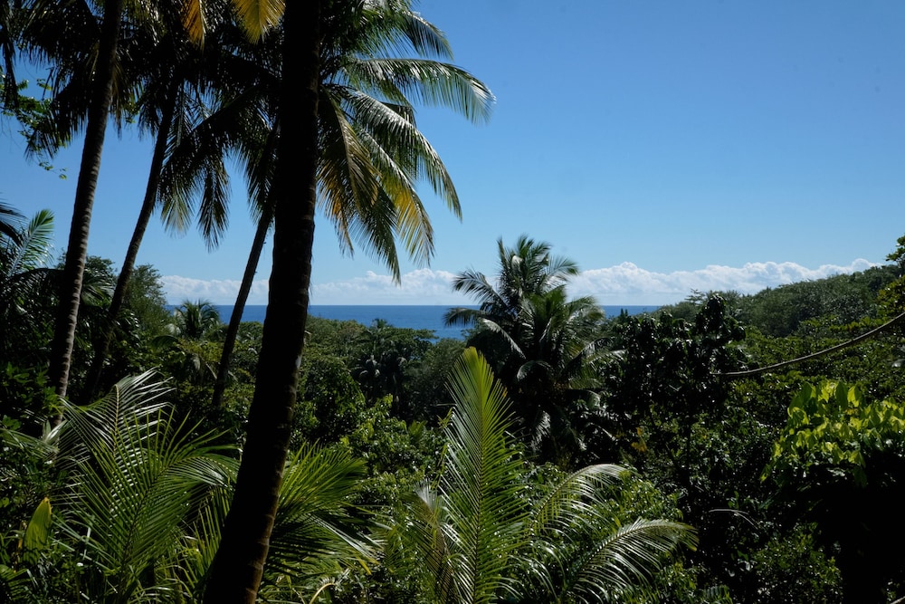 Banyan Panoramic Cottage photo 3