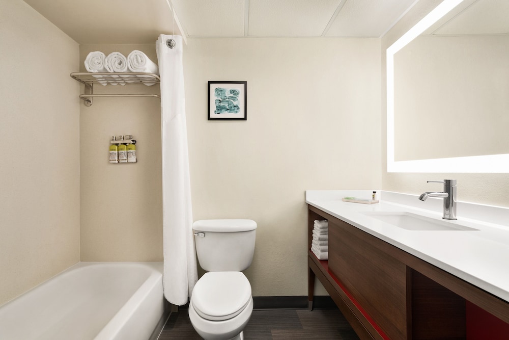 Standard Room, 1 King Bed, Accessible (Communications, Accessible Tub) - Photo 5