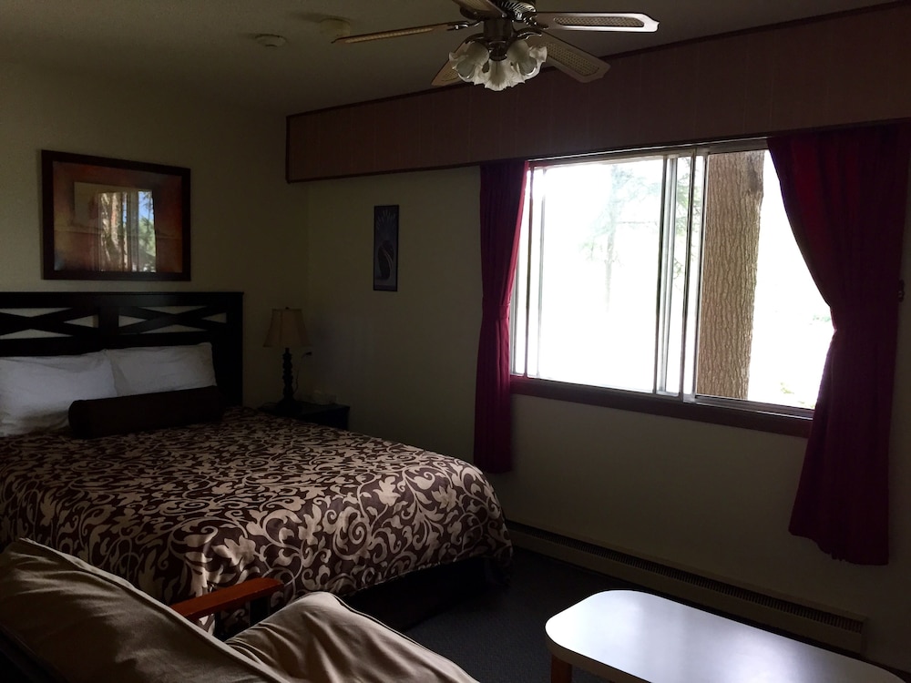 Quadruple Room, 1 Queen and Sofa Bed, Kitchenette photo 2