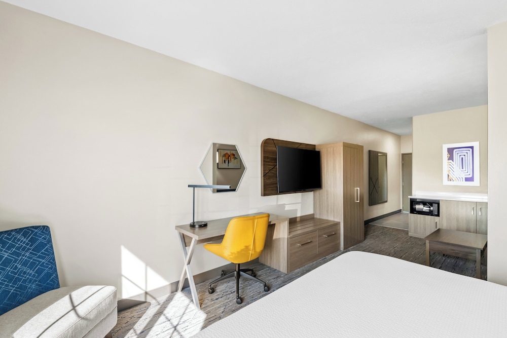 Suite, 1 King Bed - Photo 6