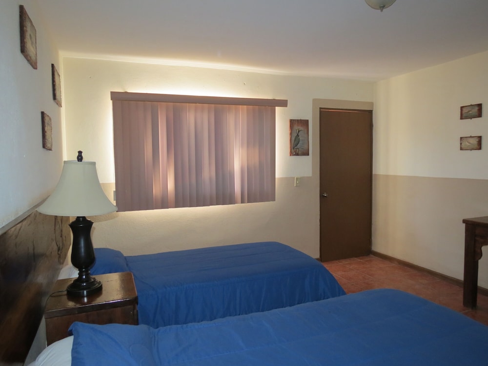 Classic Room - Photo 16