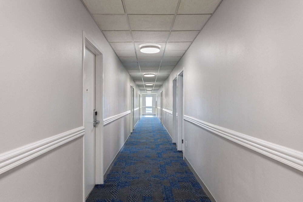 Room, Accessible - Photo 4