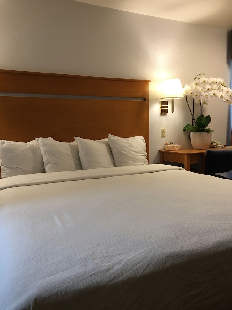 Deluxe Room, 1 King Bed, Non-Smoking, Partial Ocean View (Includes 1 parking  space) photo 3