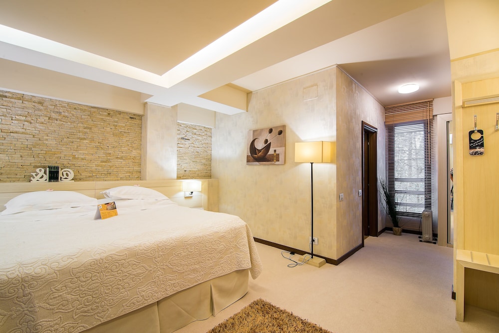 Standard Room Without Balcony ( 3 camere de acest tip) - Photo 3
