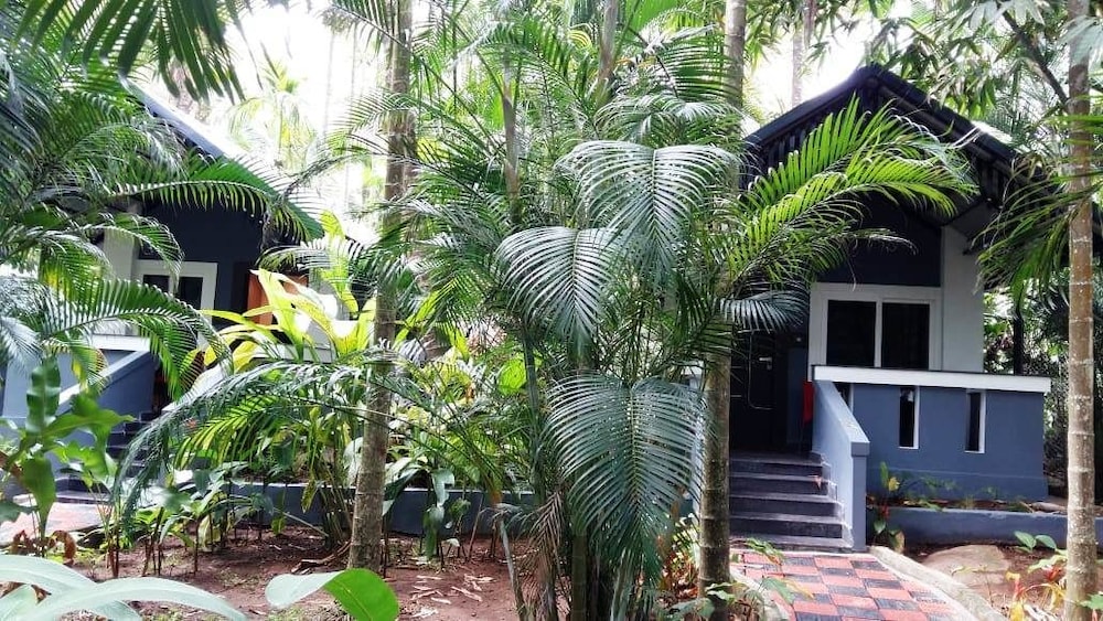 Cozy Cottage (A/c) - Photo 3