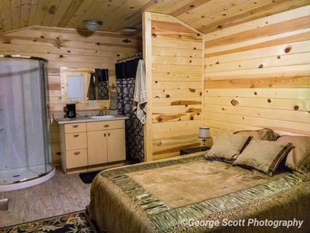 Comfort Cabin, 1 Queen Bed photo 3
