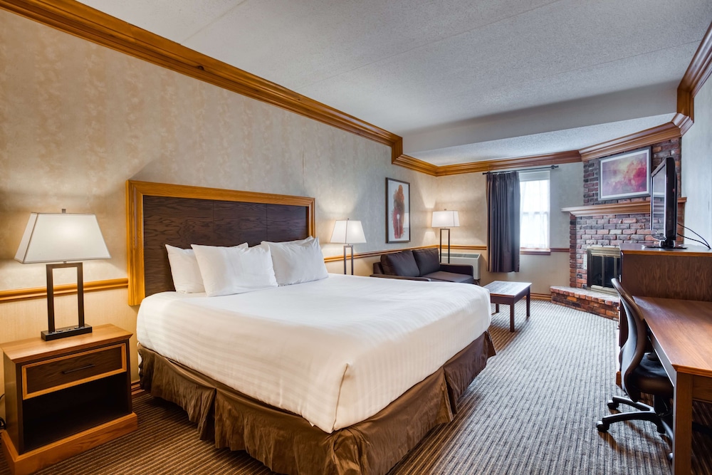 Standard Room, 1 King Bed, Non Smoking, Fireplace - Photo 1