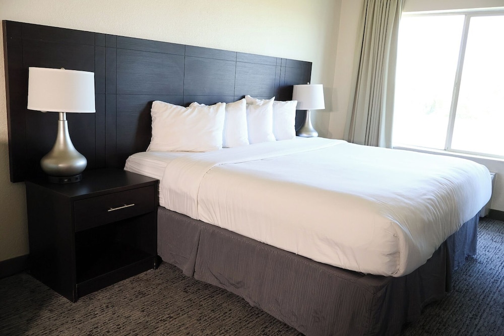 Junior Room, 1 King Bed photo 1