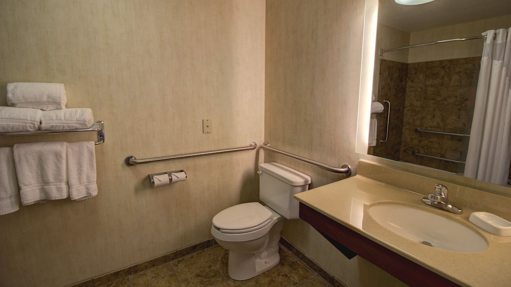 Standard Room, 1 King Bed, Accessible (Communication, Transfer Shower) - Photo 4