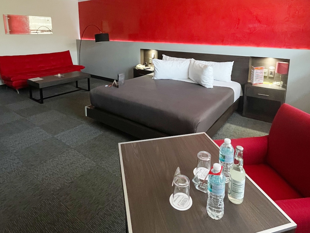 Premium Room photo 3