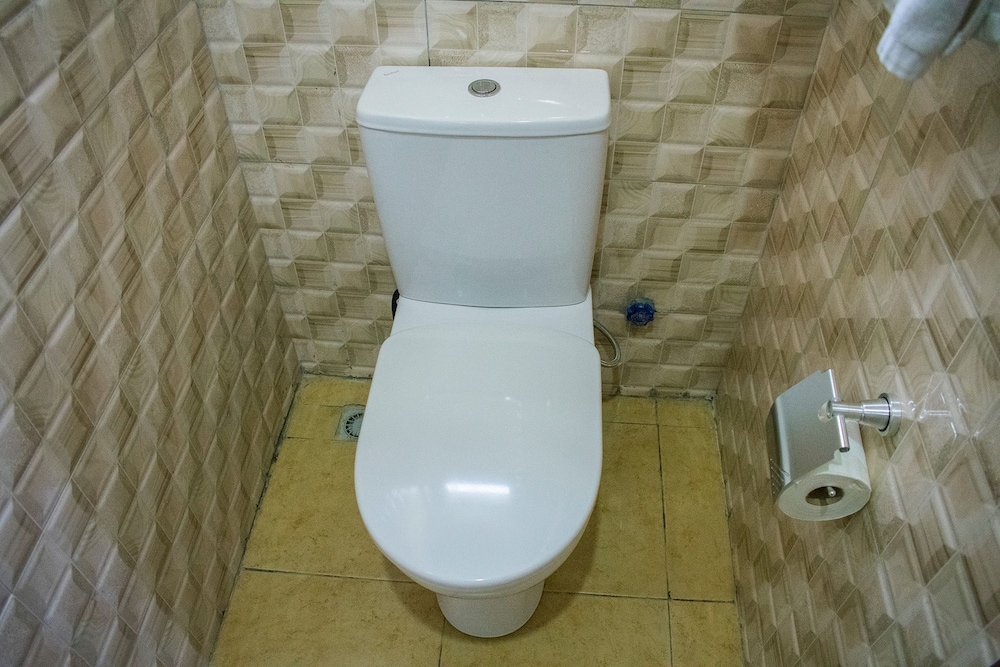 Deluxe Room - Photo 15