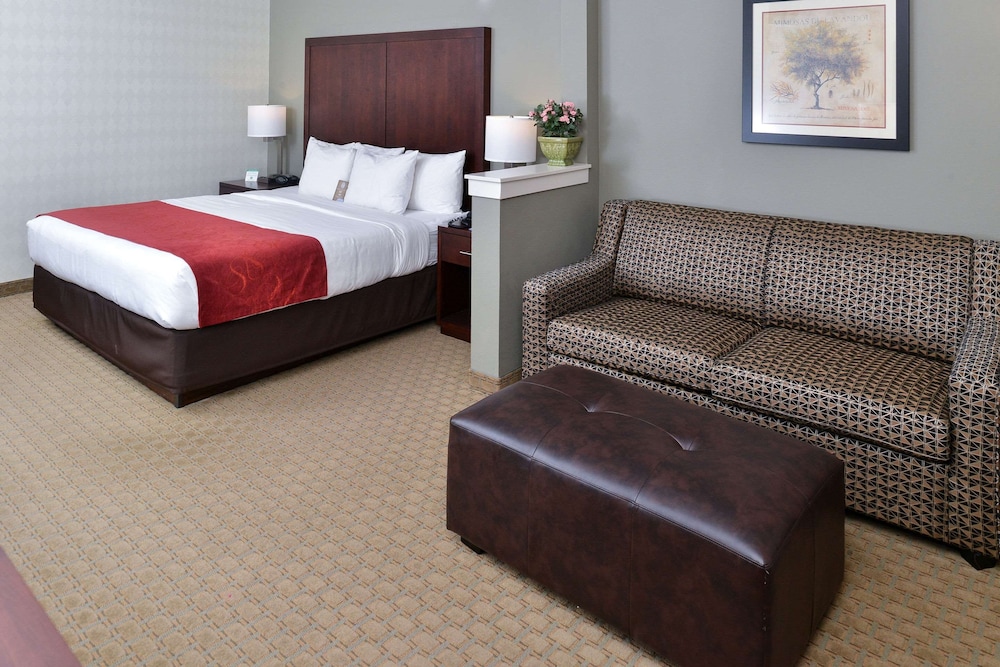 Suite, 1 King Bed with Sofa bed, Non Smoking - Photo 11