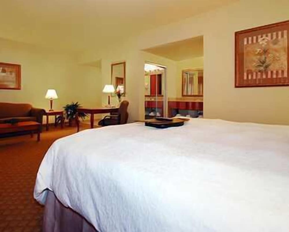 Room, 1 King Bed, Accessible, Non Smoking - Photo 1