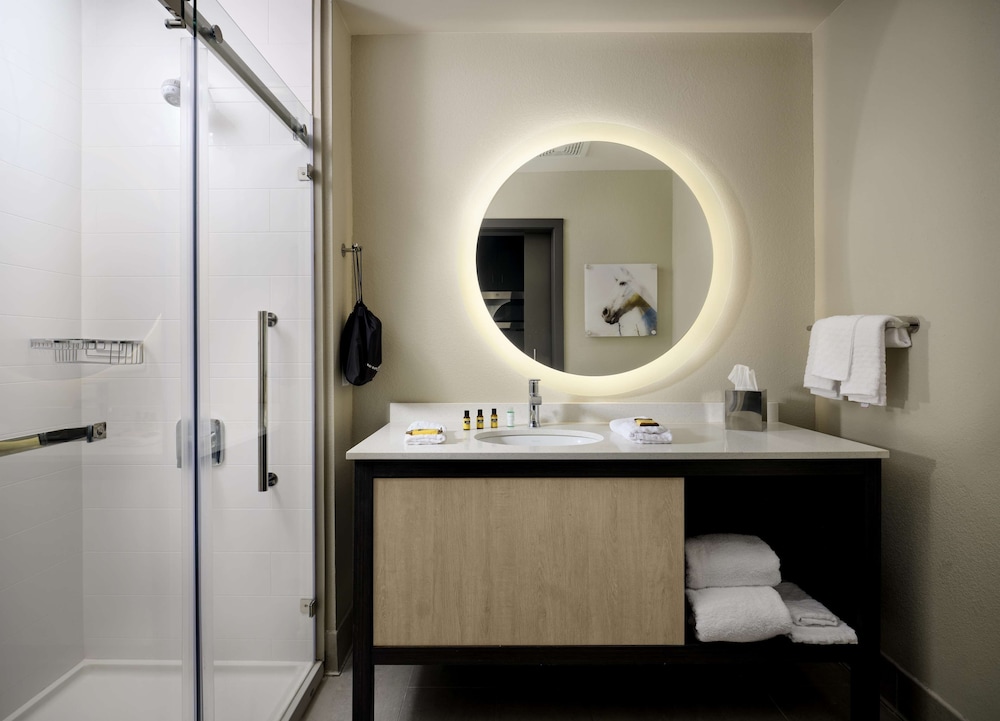 Suite, 1 King Bed, Non Smoking, Kitchen (Walk-in Shower,Sofabed,Full Kitchen) - Photo 4