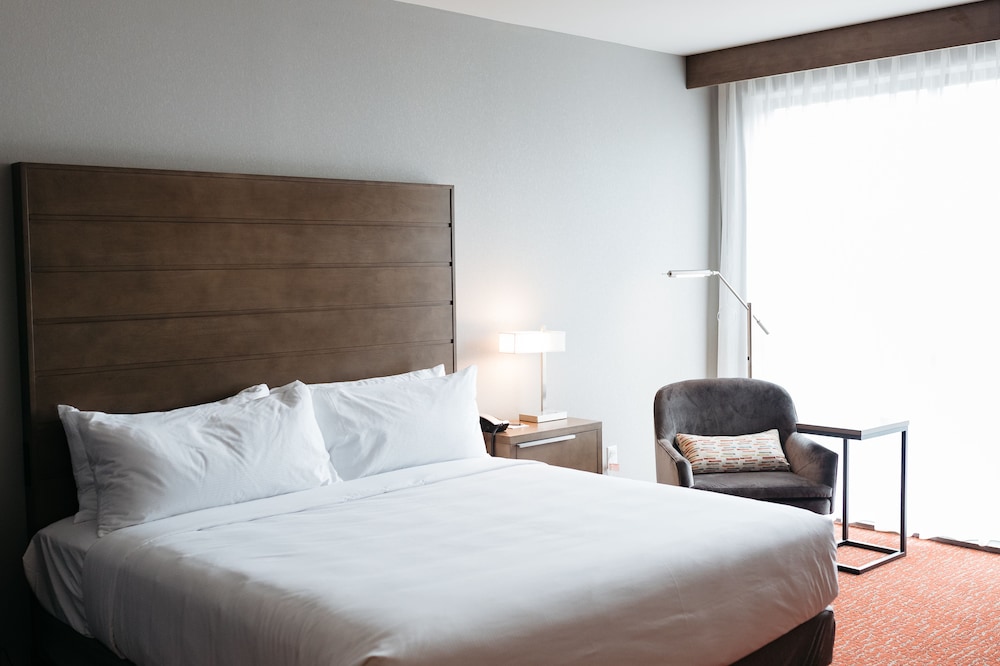 Room, 1 King Bed, Accessible (Roll-In Shower) - Photo 3