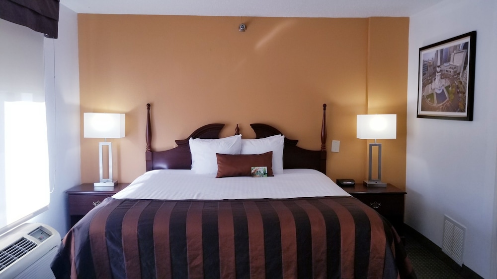 Room, 1 King Bed photo 3