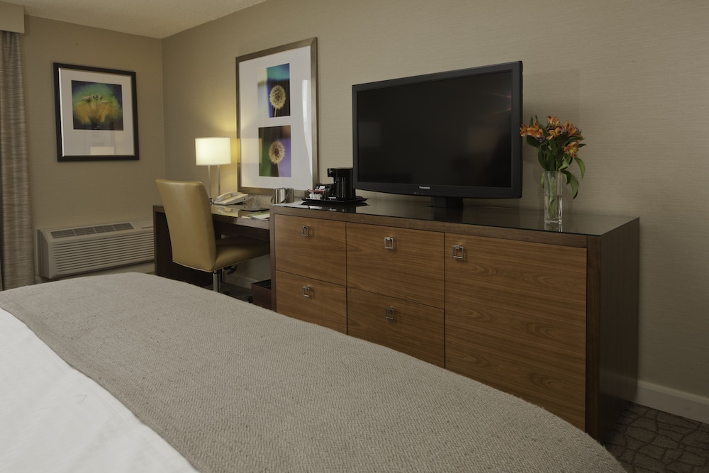 Suite, Accessible, Non Smoking - Photo 4